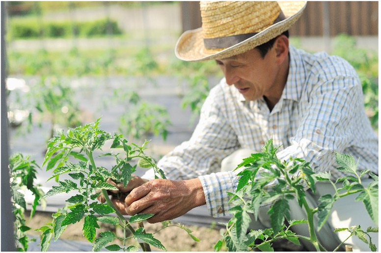 Man wearing hat farming in field.